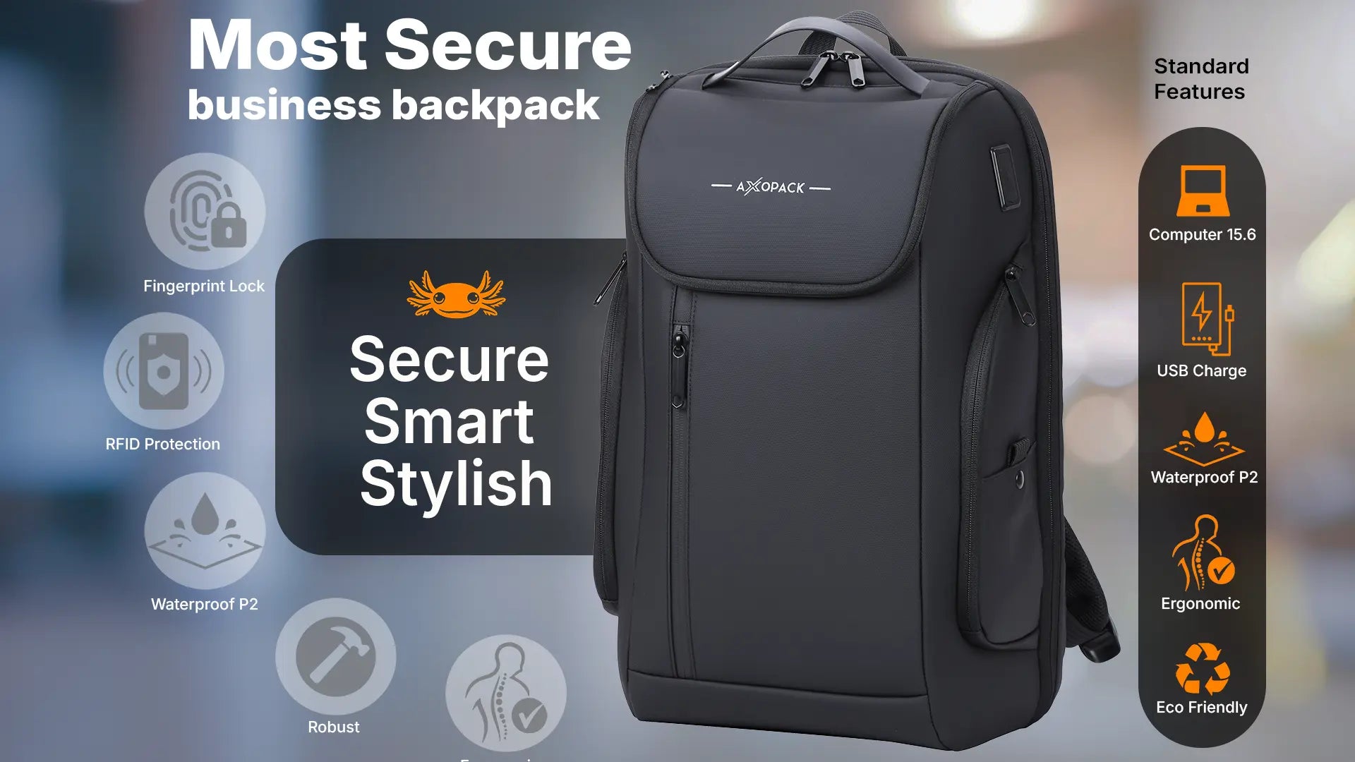 Axopack Business Backpack