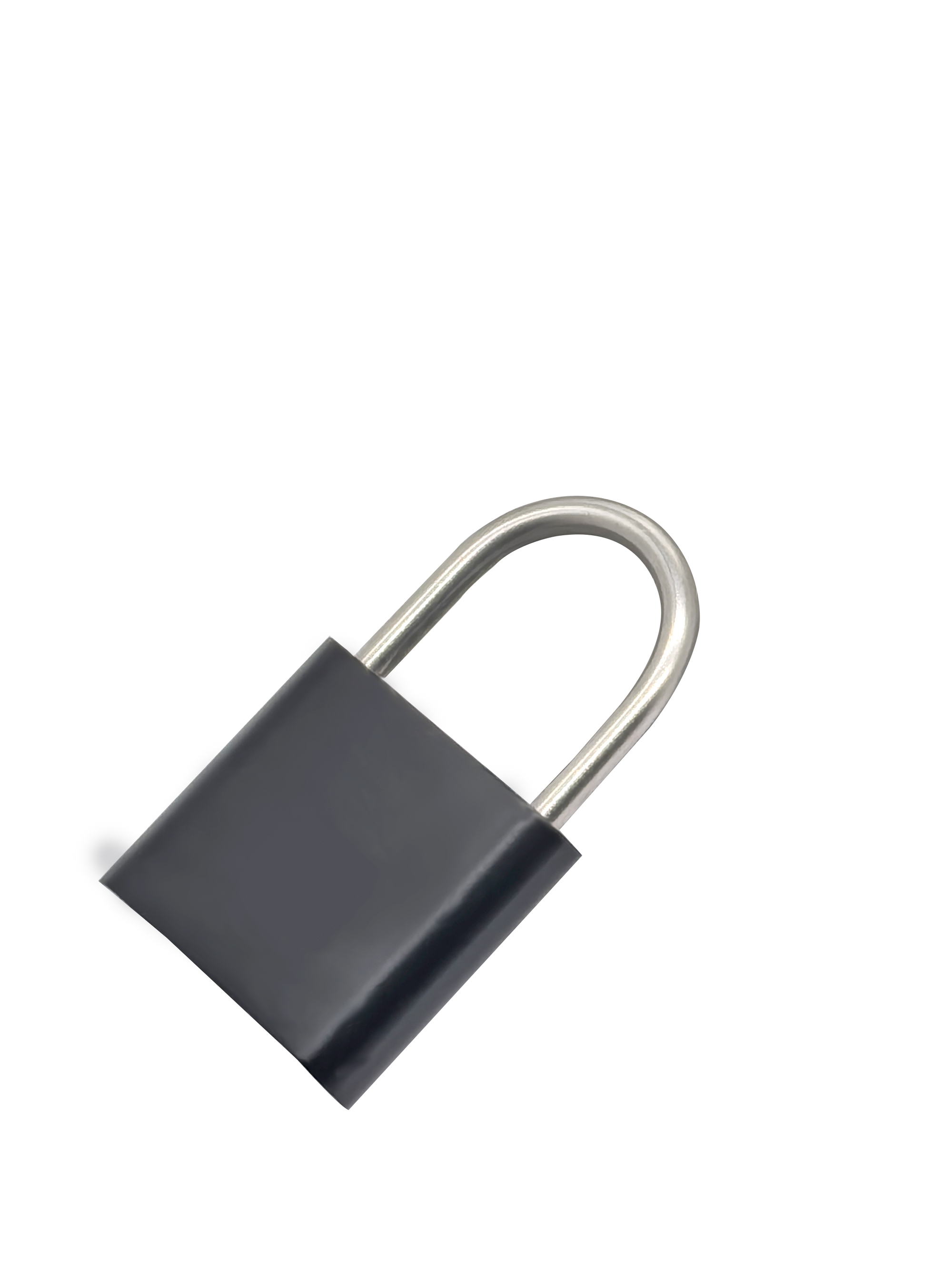 Axopack Fingerprint travel lock